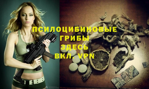 ALPHA PVP Богородицк