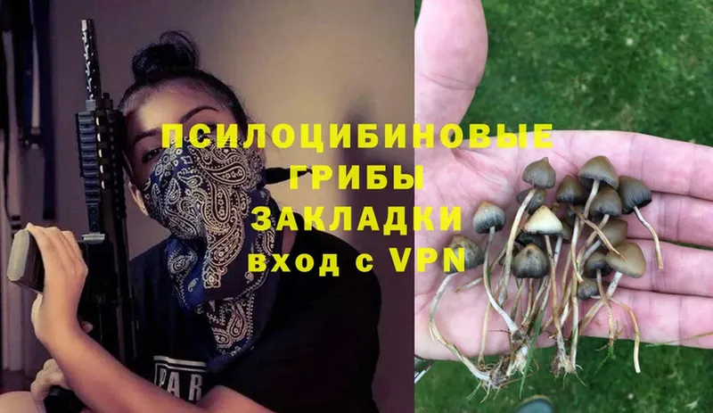 Галлюциногенные грибы Psilocybe  продажа наркотиков  shop формула  Артёмовский  ОМГ ОМГ ONION 